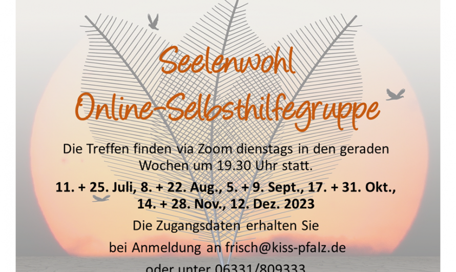 Seelenwohl – Die Online-Selbsthilfegruppe für Menschen mit einer psychischen Erkrankung