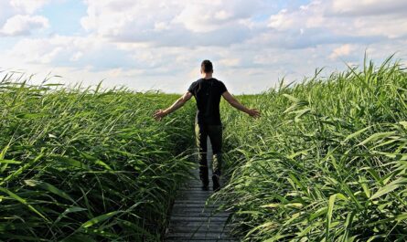 Landkreis Südwestpfalz Pirmasens Zweibrücken Depression psychische Erkrankung